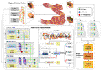 ColonNeRF Neural Radiance Fields for High-Fidelity Long-Sequence Colonoscopy Reconstruction
